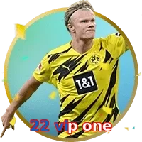 22 vip one