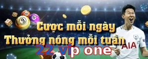 22 vip one